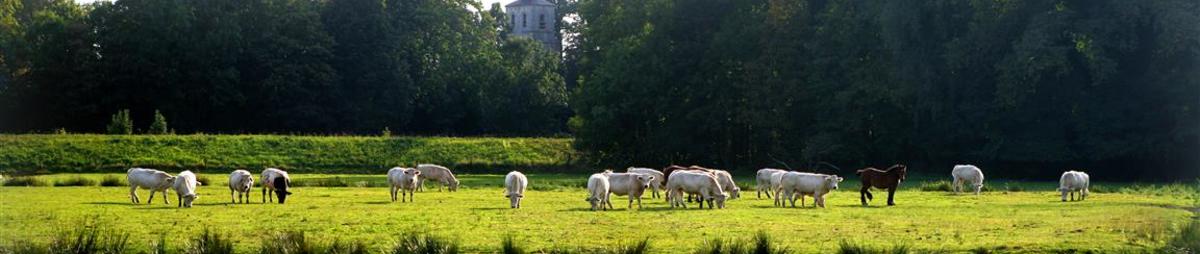 mc_nv_laylaaerts_20090814_1ddo1446-medium-.jpg